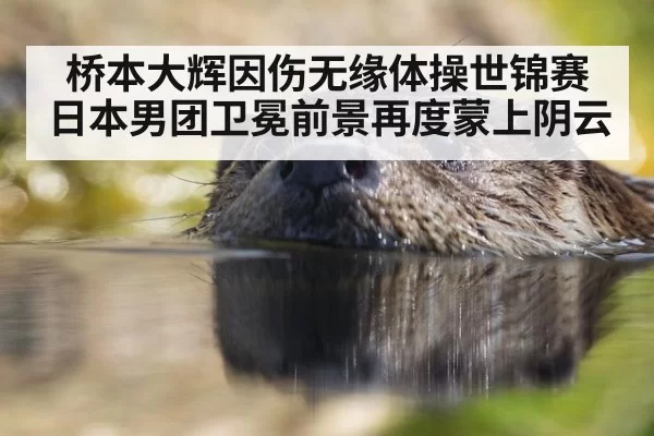 桥本大辉因伤无缘体操世锦赛 日本男团卫冕前景再度蒙上阴云